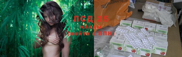 трава Баксан
